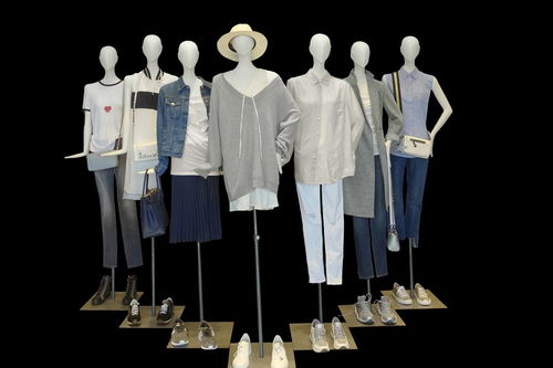 北京顺义区服装厂信息与服装服饰零售行业探析